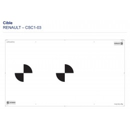 8PZ010624-031 Cible CSC TOOL MOBILE - RENAULT M1-03 VBSA
