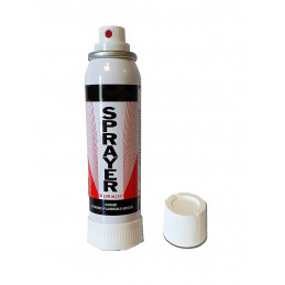 Paint sprayer for kit...