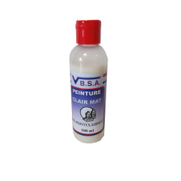 Plastic/leather repair paint - solvent-free finish 100ml at VBSA France