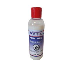 Plastic/leather repair paint - solvent-free finish 100ml at VBSA France