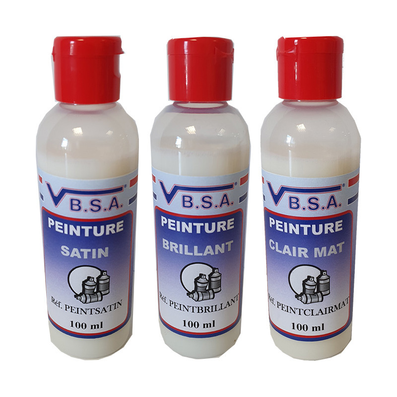 Plastic/leather repair paint - solvent-free finish 100ml at VBSA France