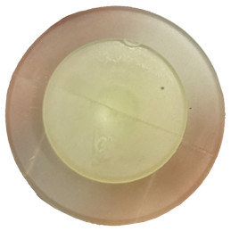 Renault Scenic III windshield molding vbsa France